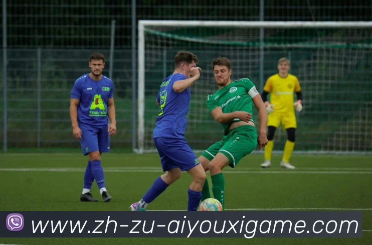 多媒体互动体验